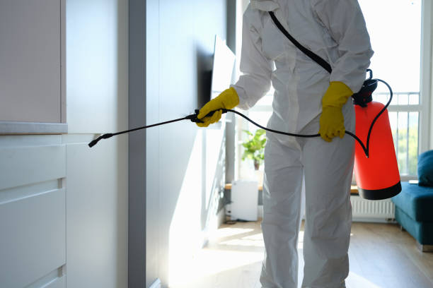 Best Mold Remediation for Healthcare Facilities  in Ramona, CA