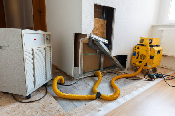 Best Dehumidification Services  in Ramona, CA